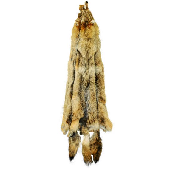 Glacier Wear Semi-Heavy Western Coyote Pelt Hide Tanned Fur | Etsy