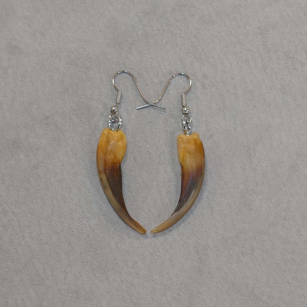 Glacier Wear Genuine Badger Claw Earrings jwc12102