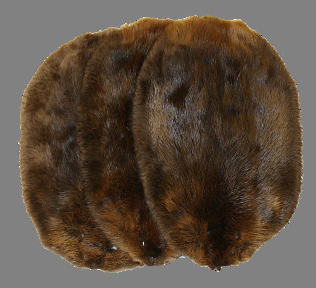 Glacier Wear Beaver Pelt northern Bvr1010 Etsy Hong Kong