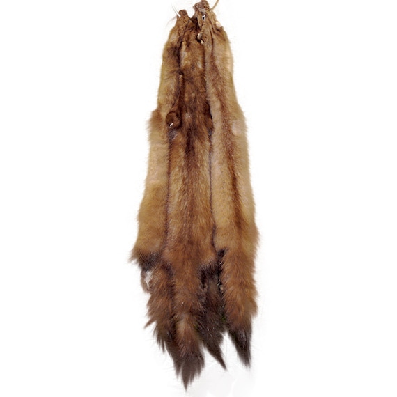 Glacier Wear Premium Label Russian Sable Pine Marten Fur Pelt Hide sbl1001