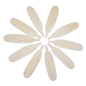 May include: Ten carved ivory feathers arranged in a circle, with the tips of the feathers pointing outwards.