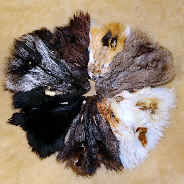 Glacier Wear Assorted Fox Fur Faces Masks (Qty - 4) fxx1610