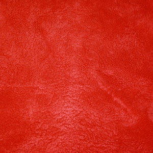 May include: A close-up of a red fuzzy fabric texture.