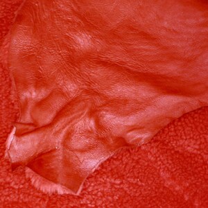 May include: A close-up of a red leather hide with a textured surface. The leather is folded and draped over a red fuzzy fabric.