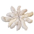 Glacier Wear Blue Fox/Blue Shadow Fox Tail(s) - Assorted fxx1630