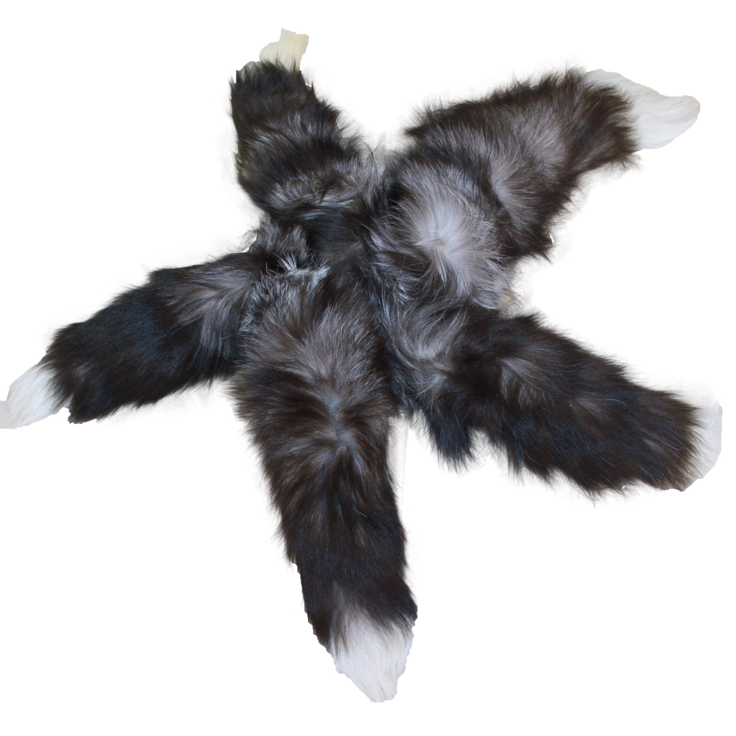 silver fox plush