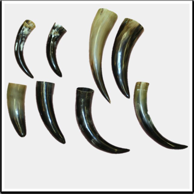 Glacier Wear Polished Buffalo Horn Cap 