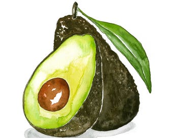 Avocado Watercolor Illustration Art Print/ Vegetable + Kitchen Art