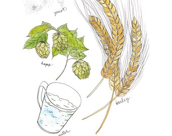 Beer Essentials/Four ingredients, hops, water, yeast & malt Illustrated Watercolor Art Print