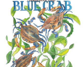 Chesapeake Bay Blue Crab: Atlantic Ocean / Illustrated Watercolor Art Print 13x19 / Beach Kitchen Art