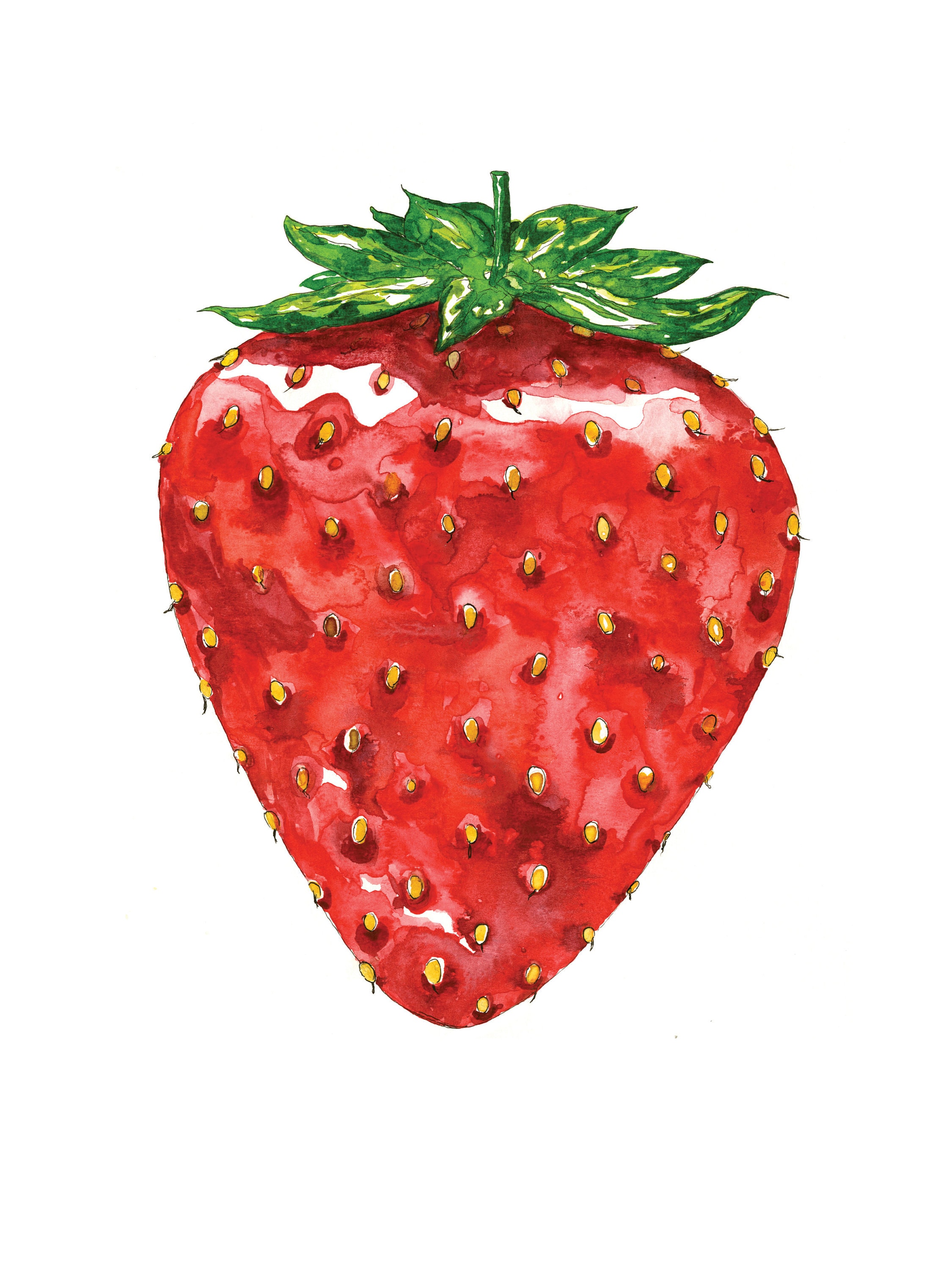 Large Juicy Strawberry Illustration in Watercolor Art Print Etsy