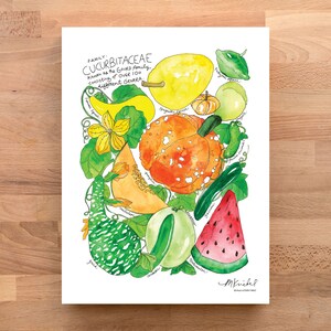 Cucurbitaceae Gourd Family/ Watermelon, zucchini, spaghetti squash, cucumber Illustrated Watercolor Art Print