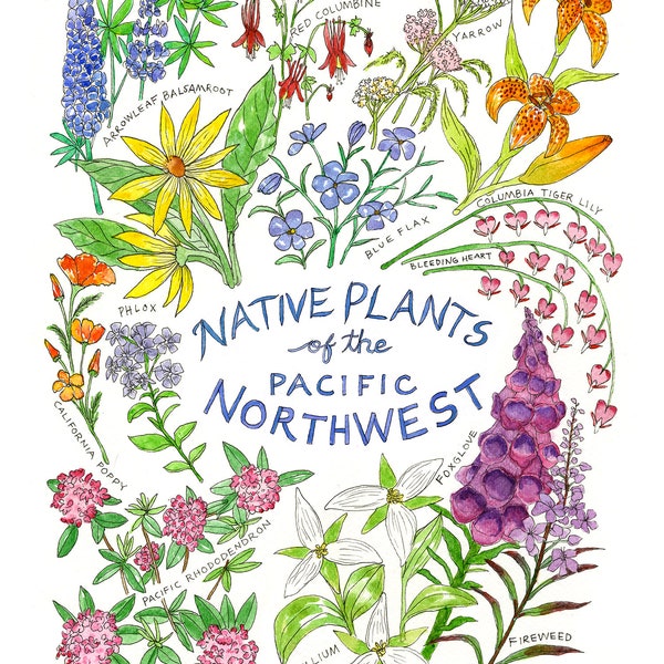 Native Plants of the PNW Pacific Northwest Watercolor Art Print