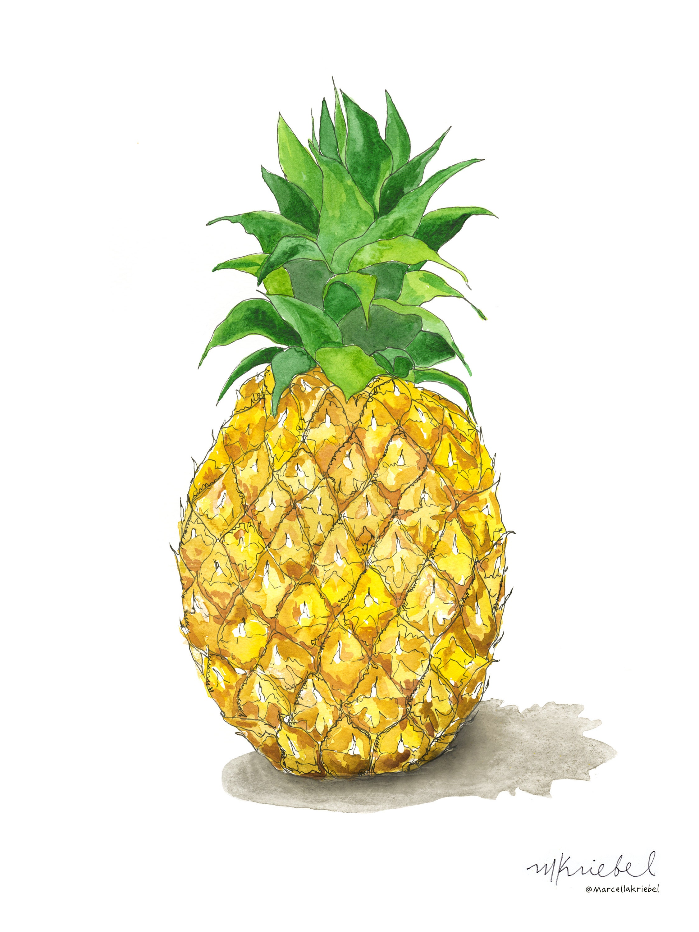 Pineapple Hospitality Symbol Sketch