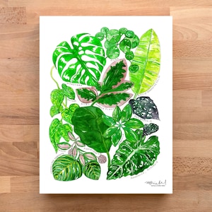 Types of Houseplants: Monstera, Pilea, Palm, Hoya, Pothos, Alocasia, Begonia, & Fiddle Leaf Fig Illustrated Watercolor Kitchen Art Print