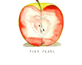 Pink Pearl Apple Illustrated Watercolor Kitchen Art Print