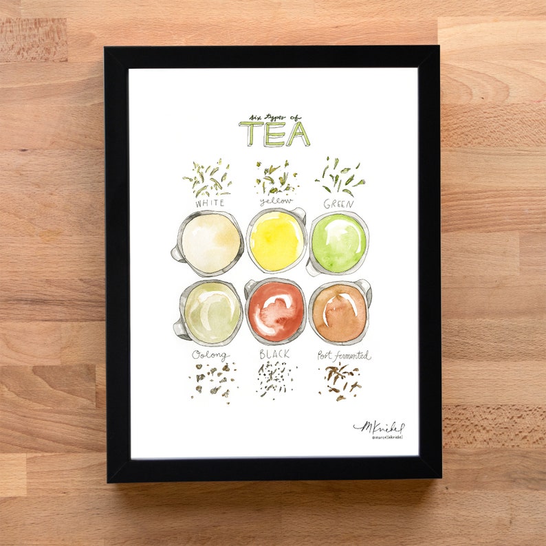 Six Tea Types Six Types of Tea Watercolor Art Print - Etsy
