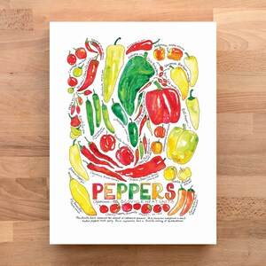Chili Pepper Garden Illustrated Watercolor Art Print