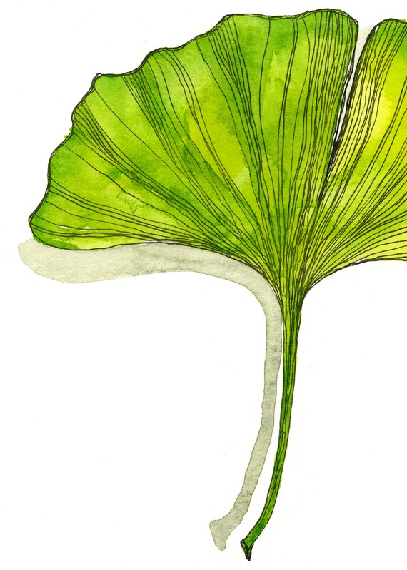 Kuingbhn Moderna Nordica Foglie Di Ginkgo Tela Colorata Pittura Poster Di Lusso E Stampe Immagini A Parete Per La Decorazione Della Stanza Interna 50x50cmx2pcs Senza Cornice