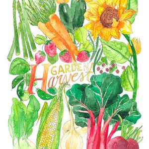 Garden Harvest featuring Sunflowers, Carrots, Rhubarb, Corn, Asparagus, Strawberries and more! Illustrated Watercolor Art Print