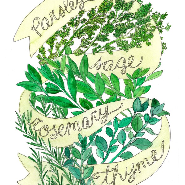 Parsley Sage Rosemary & Thyme / Simon and Garfunkel, "Scarborough Fair" / Herb Illustrated Watercolor Art Print
