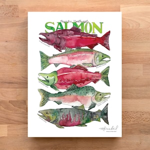 Pacific Northwest zalm aquarel Art Print / West Coast Sea Life illustratie