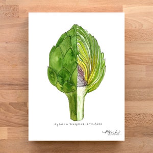 Artichoke Cross Section Watercolor Art Print: Kitchen Wall Decor