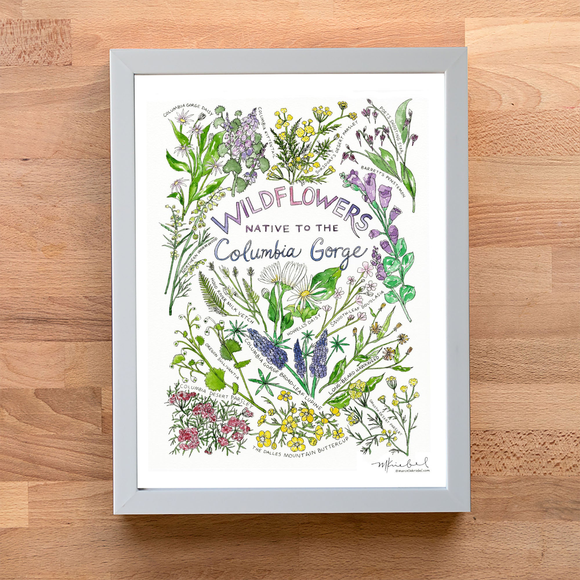 Wildflowers Native to the Columbia Gorge Watercolor Art Print - Etsy