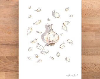 Illustrazione ad acquerello di uno spicchio d'aglio e di una testa, stampa artistica da cucina