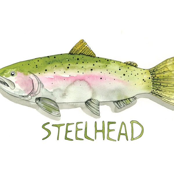 Steelhead zoet water vis geïllustreerd aquarel Art Print