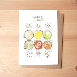Zes soorten thee: wit, geel, groen, oolong, zwart en post gefermenteerde wenskaart / briefpapier + envelop
