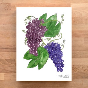 Pinot Noir and Pinot Gris Wine Grapes Illustrated Watercolor Art Print / Bar Art