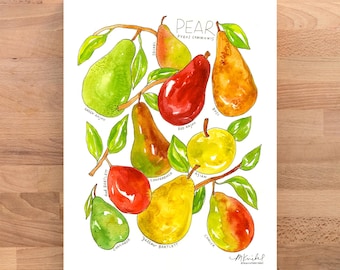 Varietà di pere, stampa ad acquerello per cucina/colazione.