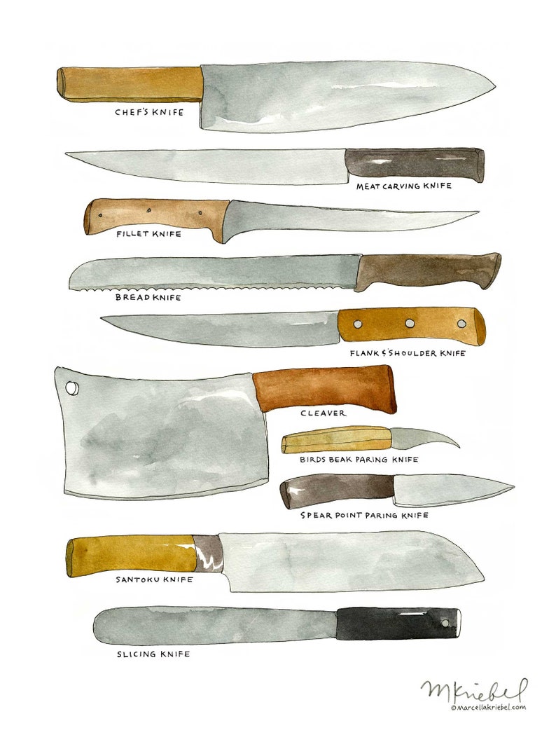 Kitchen Knives / Various Types of Chef's blades diagram | Etsy