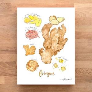 May include: A watercolor illustration of different forms of ginger, including pickled, sliced, dried, ground, and crystallized. The illustration is labeled with the different forms of ginger and the text "Ginger".