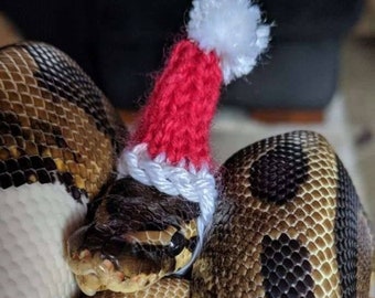 Pet Snake Etsy