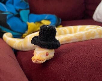 snakes with hats