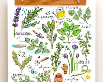 Garden Herbs Print.