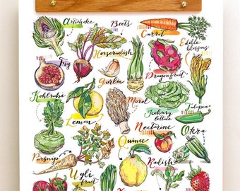 May include: A watercolor illustration of various fruits and vegetables, including artichoke, beets, carrot, fig, dragonfruit, garlic, kohlrabi, lemon, morel, nectarine, okra, parsnip, quince, radish, strawberry, tomato, vanilla, wild leeks, ximenia, yam, and zucchini. The illustration is in a white background with the names of each fruit and vegetable written in cursive.