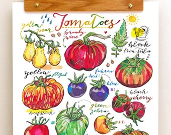 Tomato Print. Food art. Illustration. Kitchen decor. Garden. Summer. Colorful. Rainbow. Fruit. Vegetables. Homegrown. Organic. Gardening.