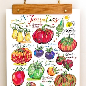 Tomato Print. Food art. Illustration. Kitchen decor. Garden. Summer. Colorful. Rainbow. Fruit. Vegetables. Homegrown. Organic. Gardening.