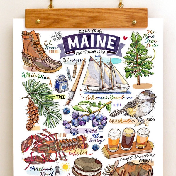 Maine State Print. Illustration. The Pine Tree State.