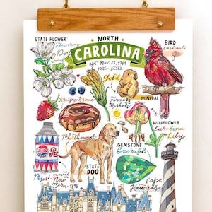 North Carolina print, State symbols, Illustration, State art, Cardinal, Plotthound, Lily, lighthouse, Biltmore estate.