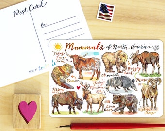 Mammals Postcard.