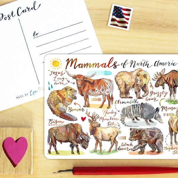 Mammals Postcard.