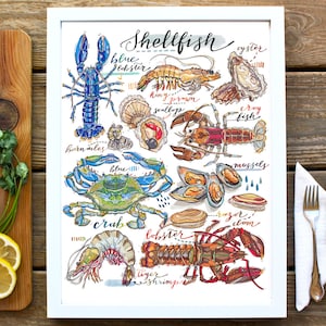 May include: A colorful illustration of various types of shellfish, including lobster, crab, shrimp, mussels, oysters, and scallops. The illustration is labeled with the names of each type of shellfish.