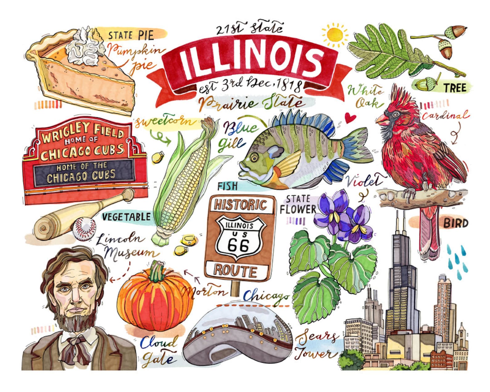 Illinois Print, State Symbols, Home Decor, Illustration, the Prairie ...