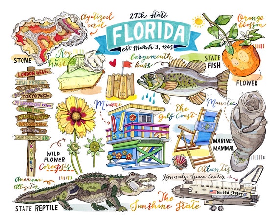 Hand Drawn Doodle Florida Icons Set Vector Illustration, 53% OFF