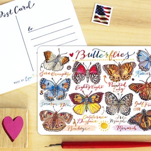 Butterflies Postcard.