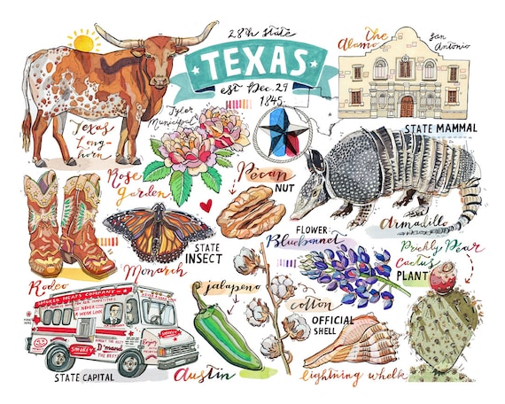 Texas Print Illustration State Symbols The Lone Star State Armadillo Longhorn Cow Alamo Cowboy - 